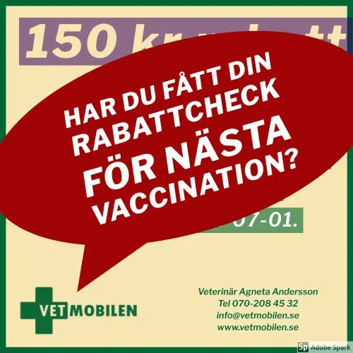 Bild på rabattcheck för vaccination med texten "Har du fått din rabattcheck för nästa vaccination?" 