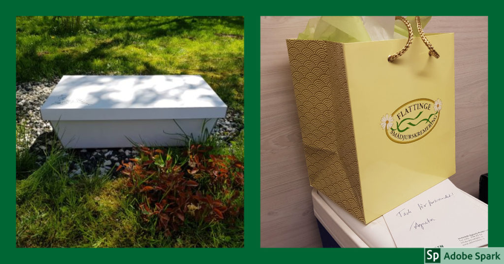 En kista och en papperskasse innehållande askan efter ett kremerat djur. De är några alternativ vid avlivning hemma.