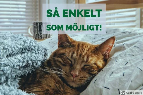"Så enkelt som möjligt" står det över bilden på en röd katt som sover skönt i en säng. Symbol för en stressfri vaccinationstjänst hos Vetmobilen.
