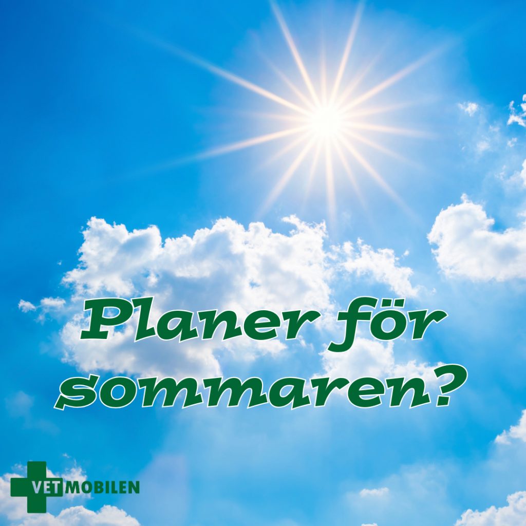 Blå himmel med vita moln och solen. Texten "Planer för sommaren?" i gröna bokstäver och Vetmobilens logga. Bilden finns på vetmobilen.se